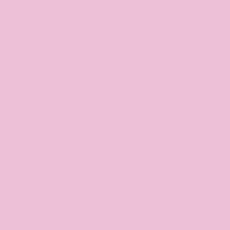 T 145 pink Gloss